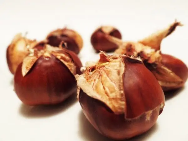 sweet chestnut, chestnuts, chestnut-498833.jpg