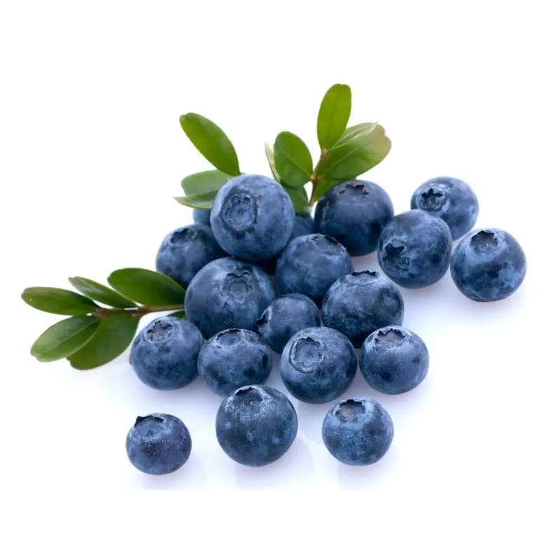 Confiture Extra de Myrtille Sauvage Biologique – Image 2