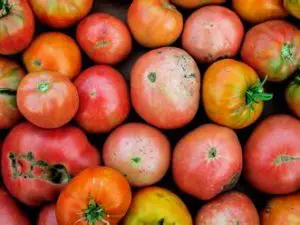 Tomate Sauce Bio, France, 980 à 1000g