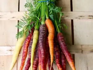 Carotte mixte Demeter Alsace 980 à 1000g