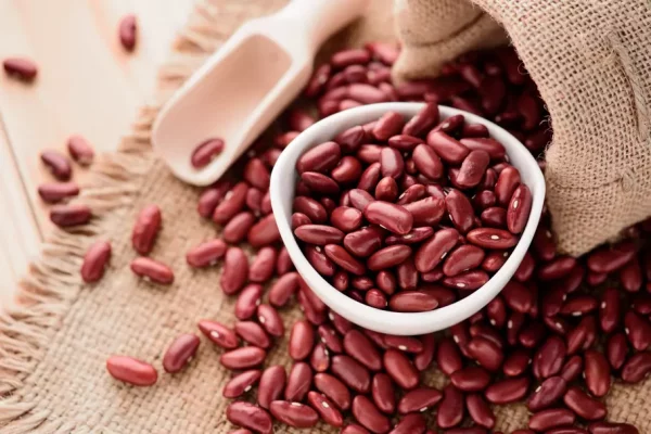 Haricots Rouges 500g Bio