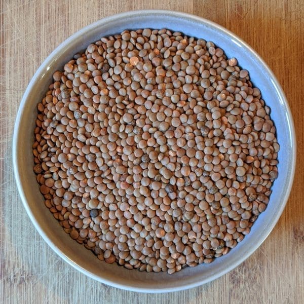 Lentillons 500g Bio