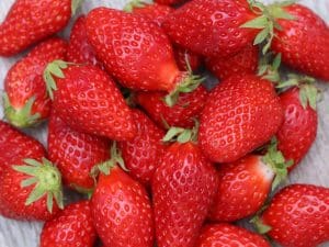 Fraise gariguette Bio France 250g