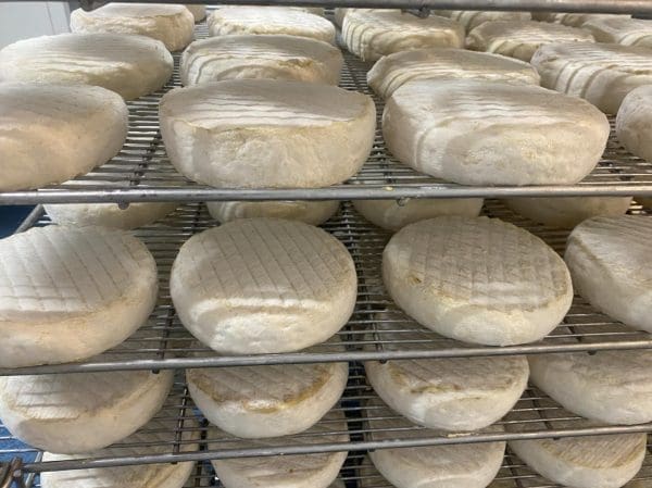 Le Doré, genre de munster blanc, 290 à 310g