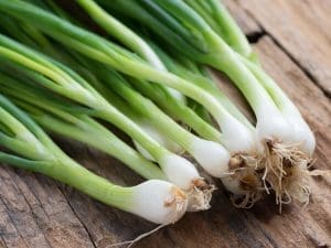 Oignon blanc en botte Alsace