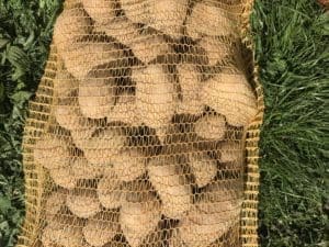 Pomme de terre Bio en sac de 10 kg