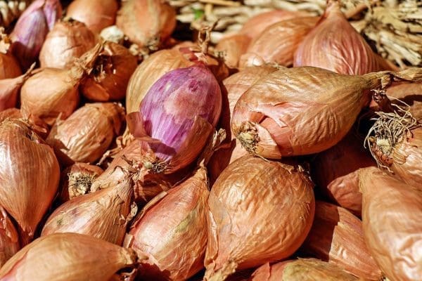 shallots, shallot, noble onion-1585053.jpg