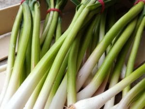 Aillet BIO, Alsace, la botte