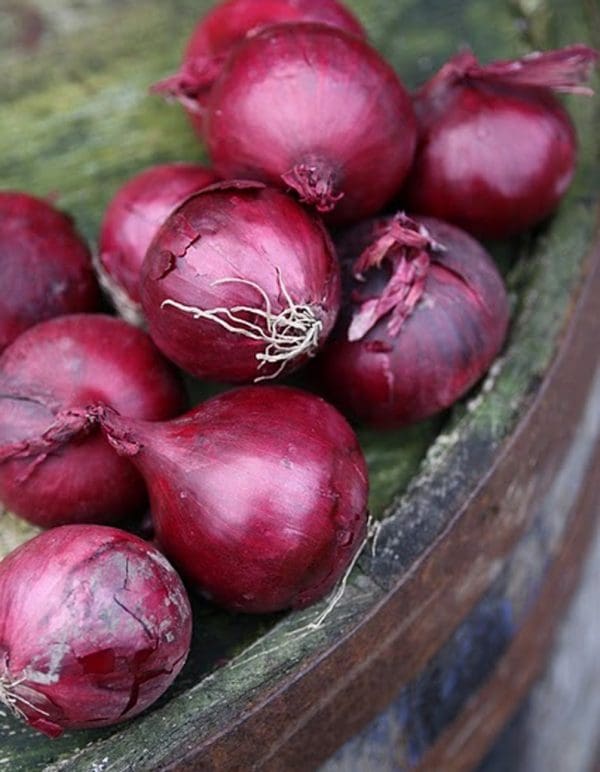 Oignon rouge Bio France 1 kg