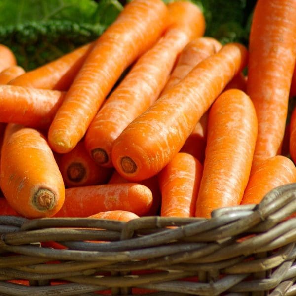Carotte d'Alsace Demeter 735 à 750 g