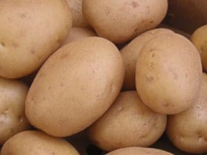 Pomme de terre  Demeter Alsace 980 à 1000g