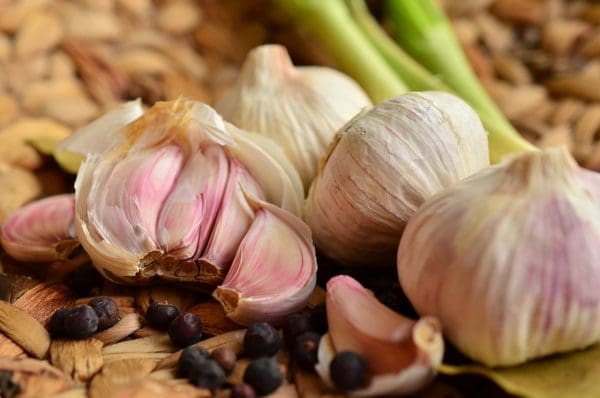 Ail blanc Alsace 85 à 100g
