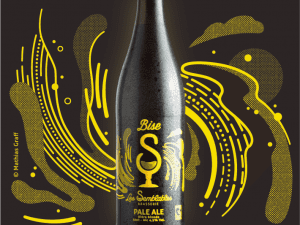 Bière Bise Pale Ale Bio - 50 cl Les S.