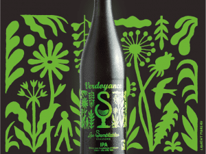 Bière Verdoyance Bio - 50 cl Les S.