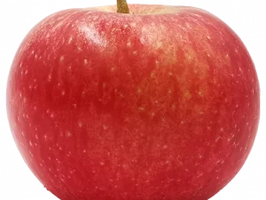 Pomme Santana Bio Alsace 950 à 1000g