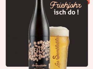 Bière de Printemps Bio 4,5% 50 cl Les Semblables